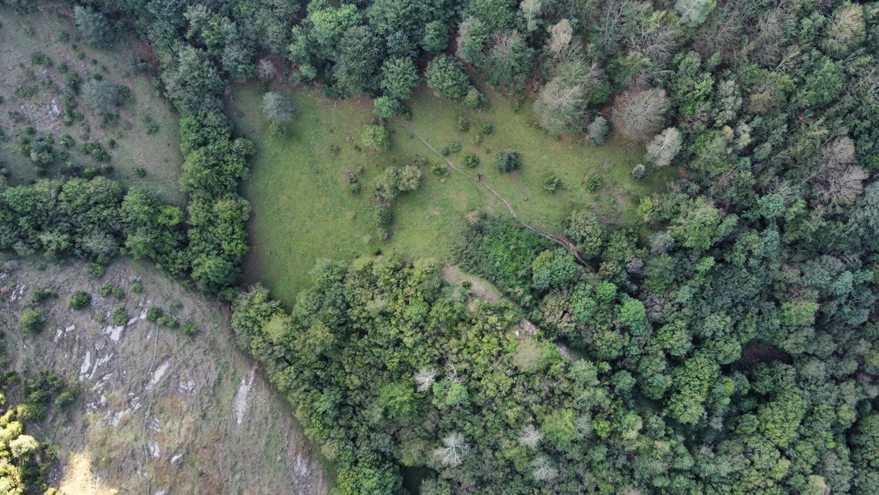 Crema Prescrita 2 Opt