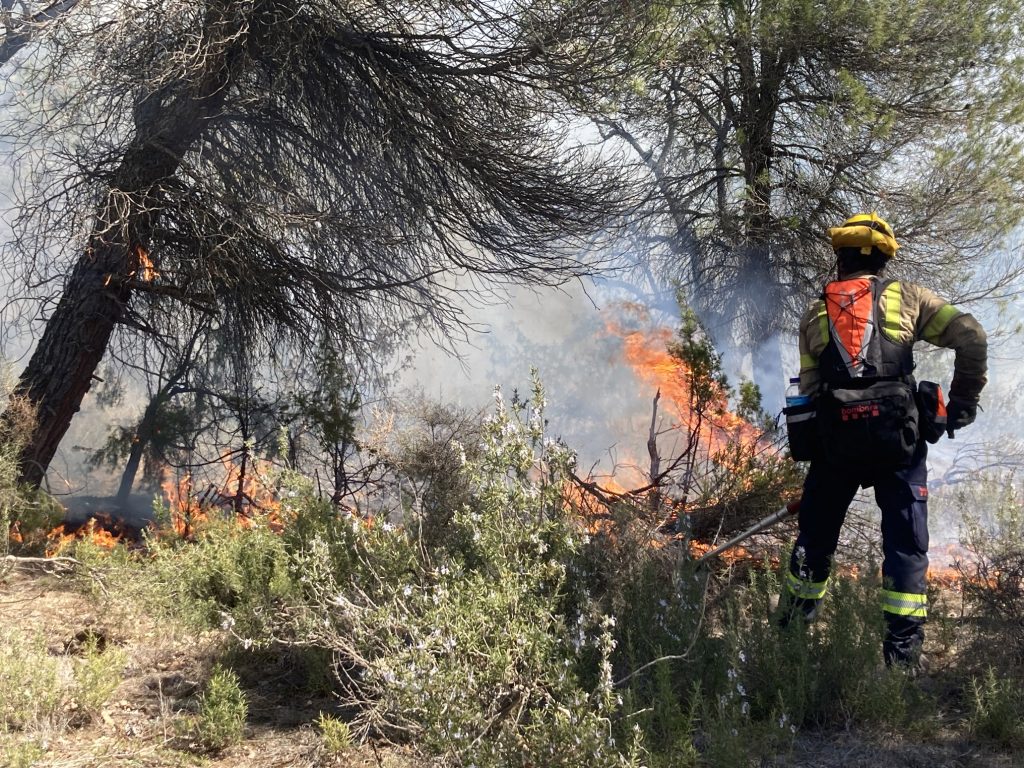 Crema-prescrita-OPT Crema Prescrita Opt