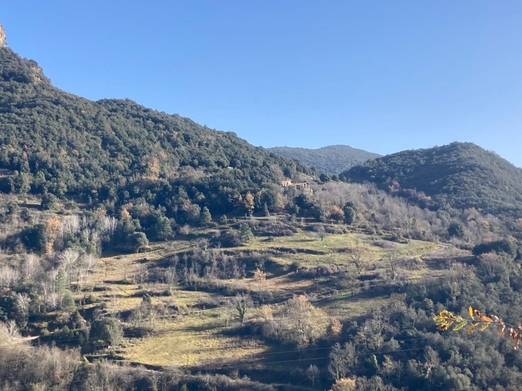 Imatge Article Inici 1