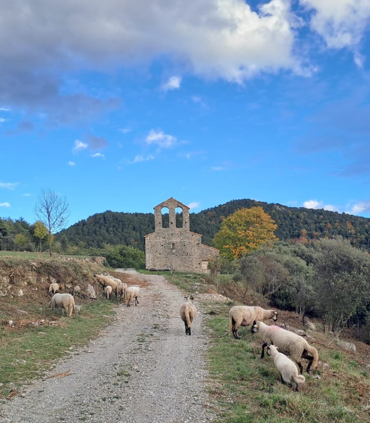 impuls ramaderia extensiva 1 Impuls Ramaderia Extensiva 1