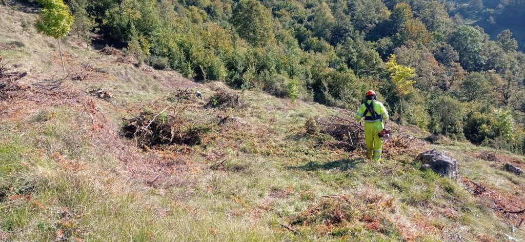 mecànics home Mecànics Home