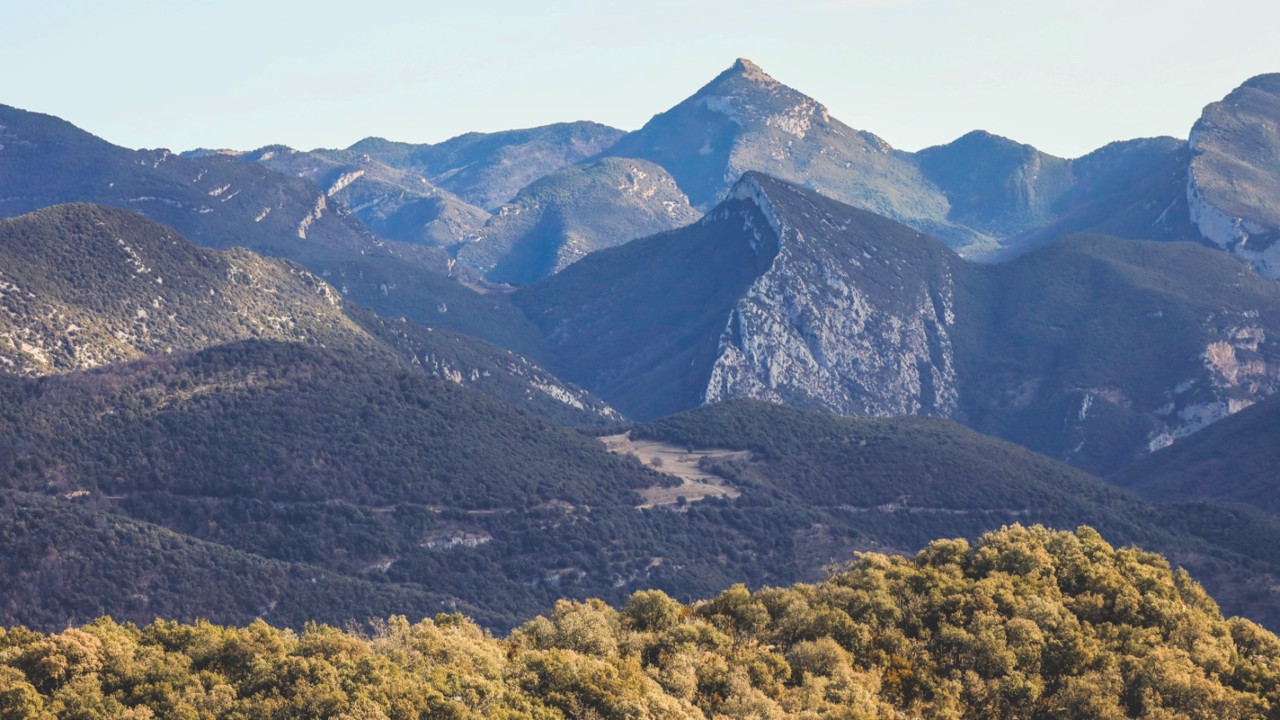 Paisatge garrotxa