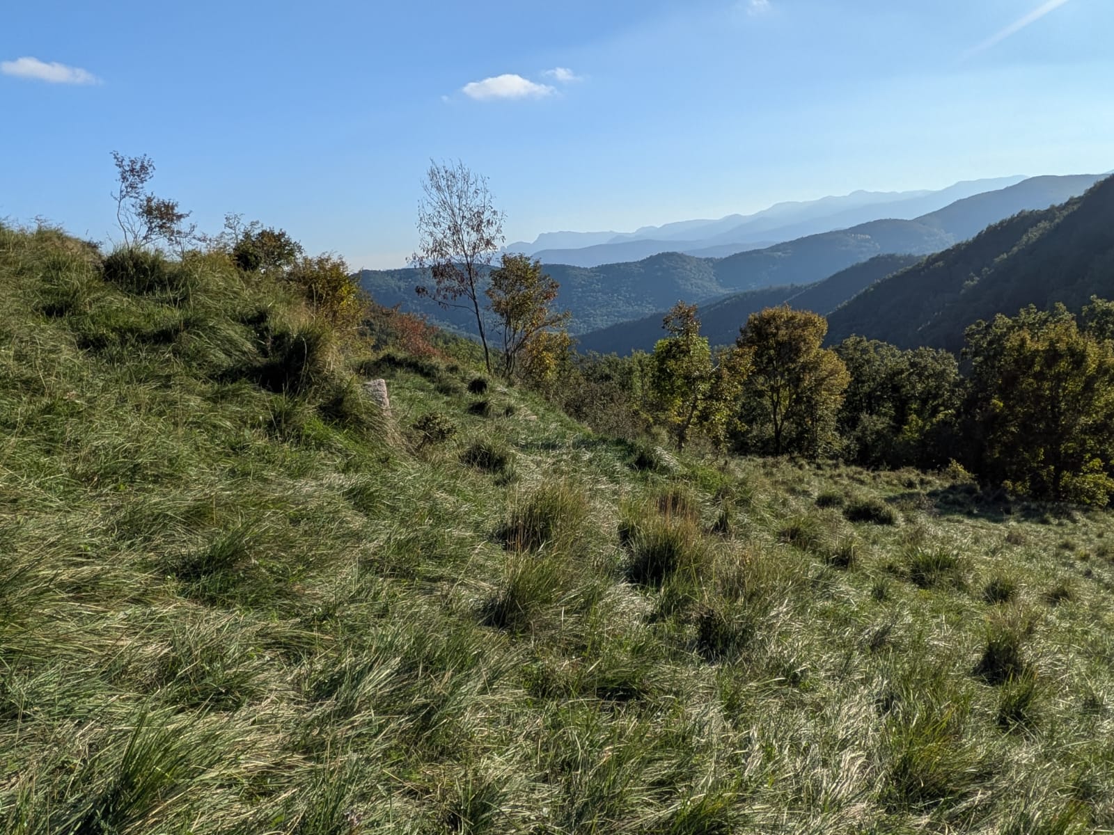 Imatge 0 Parcel·la crema SerratGinebres ENPAltaGarrotxa